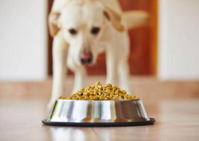 What’s Really In Your Dog Food?